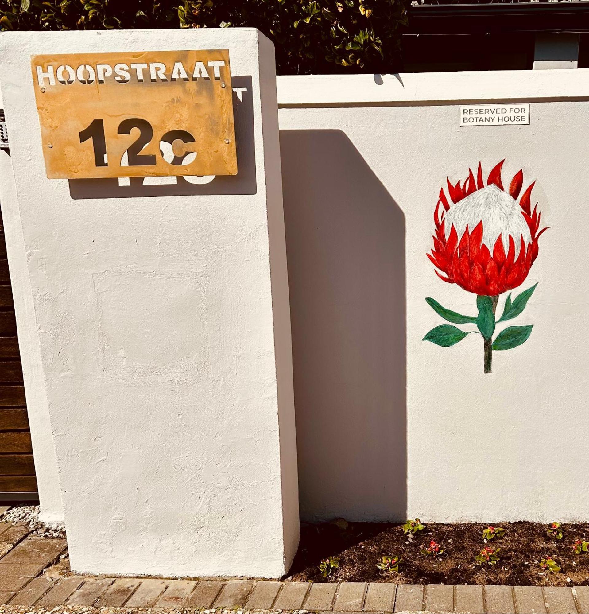 Botany House, In The Heart Of Hermanus Villa Exterior photo